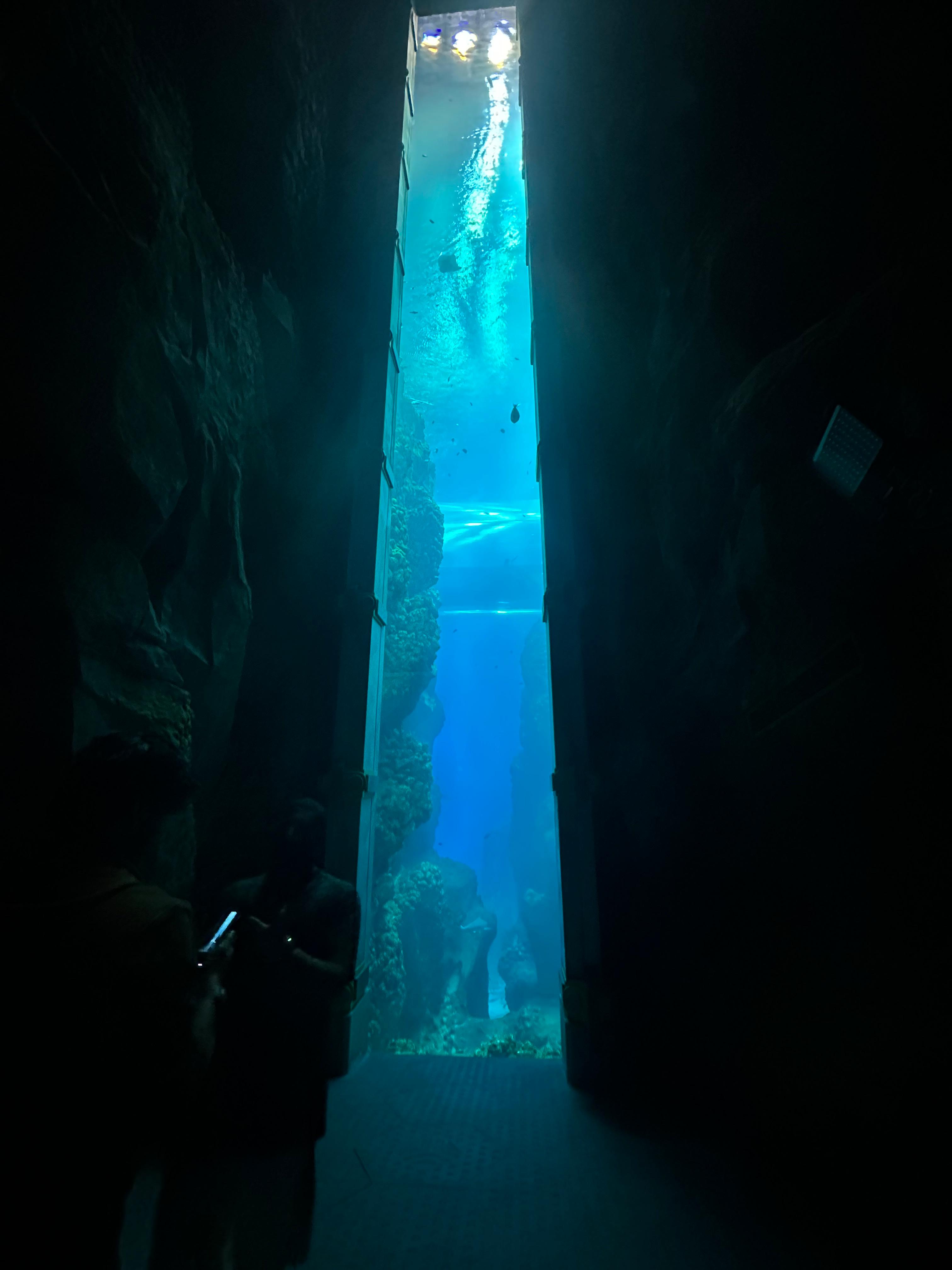 Natural History Museum Abu Dhabi